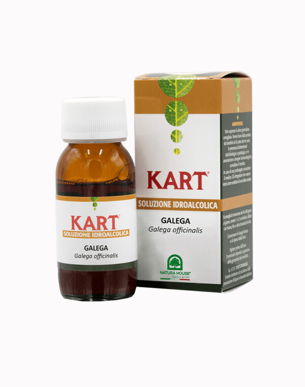 Soluzione Idroalcolica Galega Kart