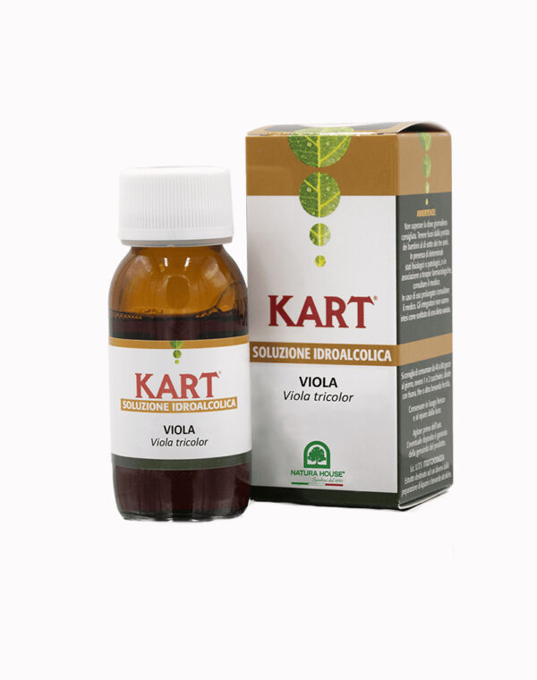 Soluzione Idroalcolica Viola Kart