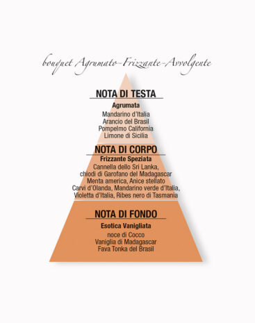 Bastoncini aromatici agrumi speziati I Profumi della Casa - immagine 3