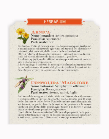 Arnica Gel I Rimedi di Helan - immagine 2