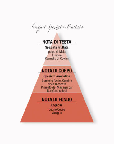 Bastoncini Aromatici Mela Cannella I Profumi della Casa - immagine 3