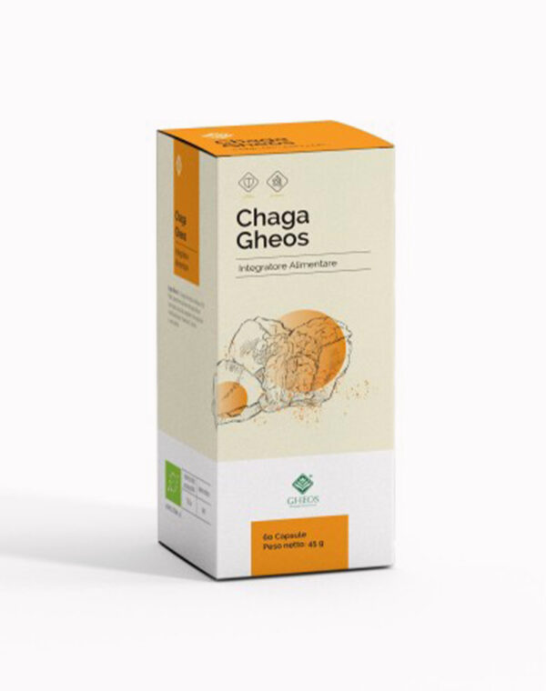 Chaga Gheos