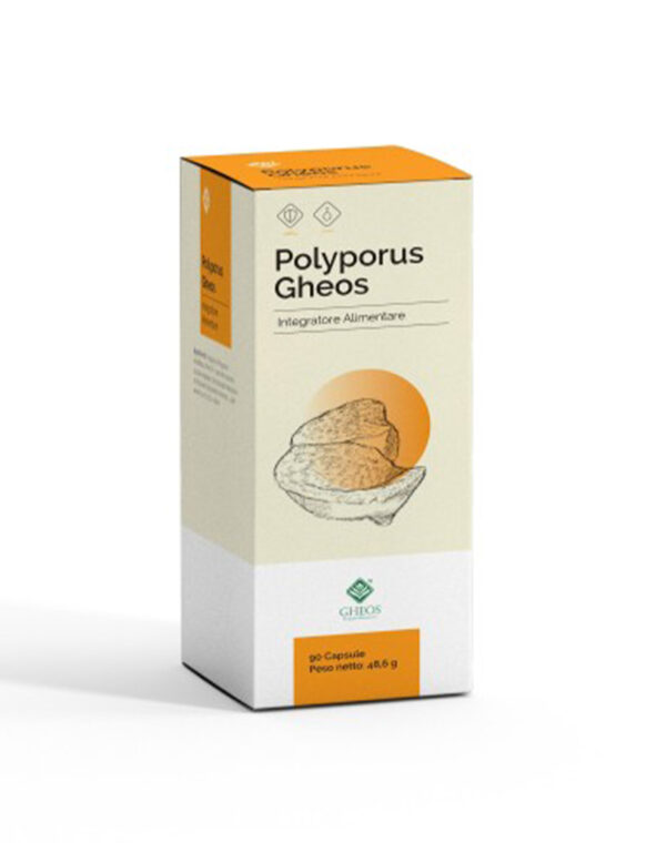 Polyporus Gheos