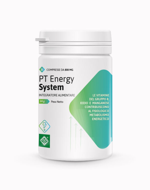 Pt Energy System