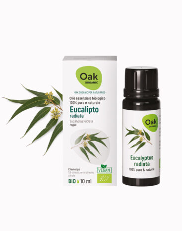 Olio Essenziale Eucalipto Radiata Oak Organic - immagine 2