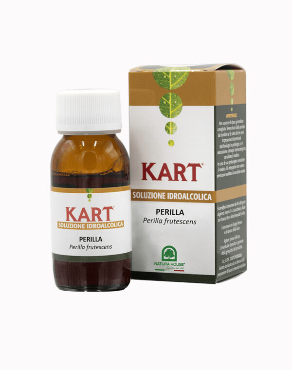 Soluzione Idroalcolica Perilla Kart