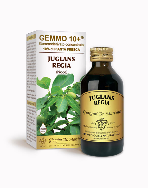 Noce G10+ (Juglans regia)