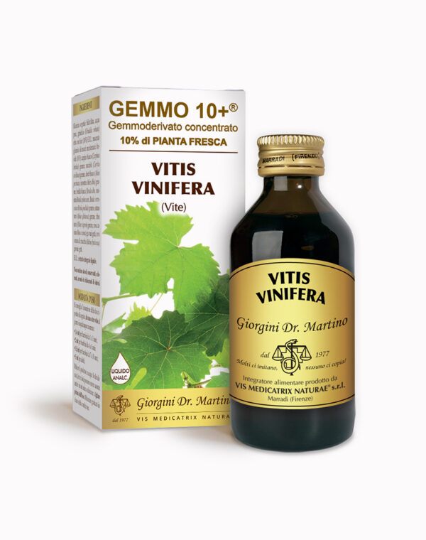 Vite G10+ (Vitis vinifera)